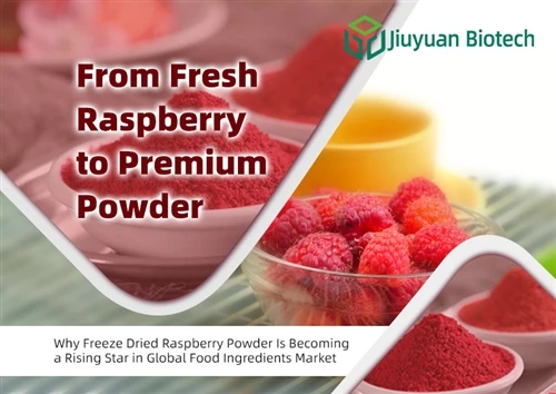 Los ntawm Fresh Raspberry mus rau hwm hmoov: Vim li cas khov qhuav Raspberry Powder Yog Ua Lub Hn...
